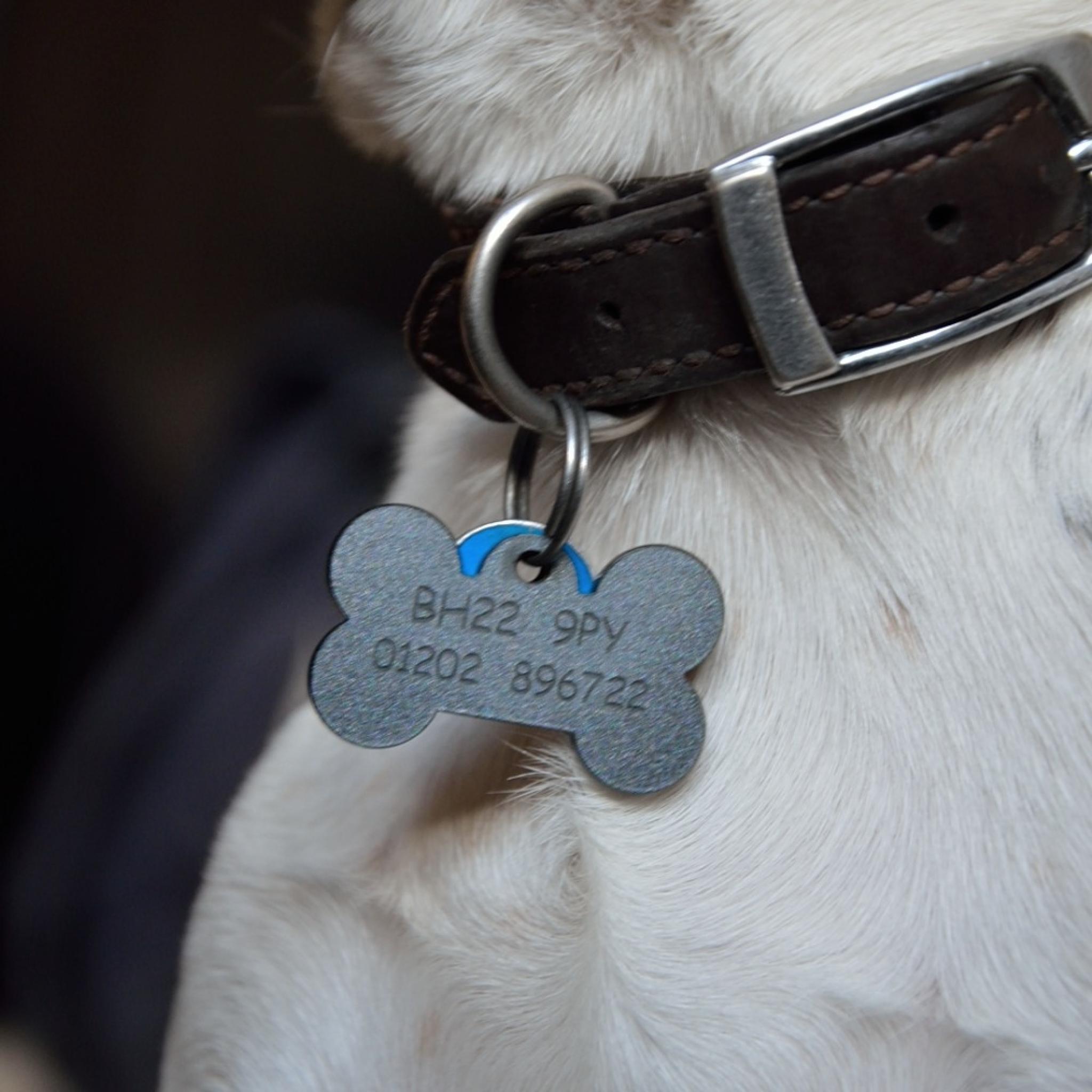bespoke dog tags