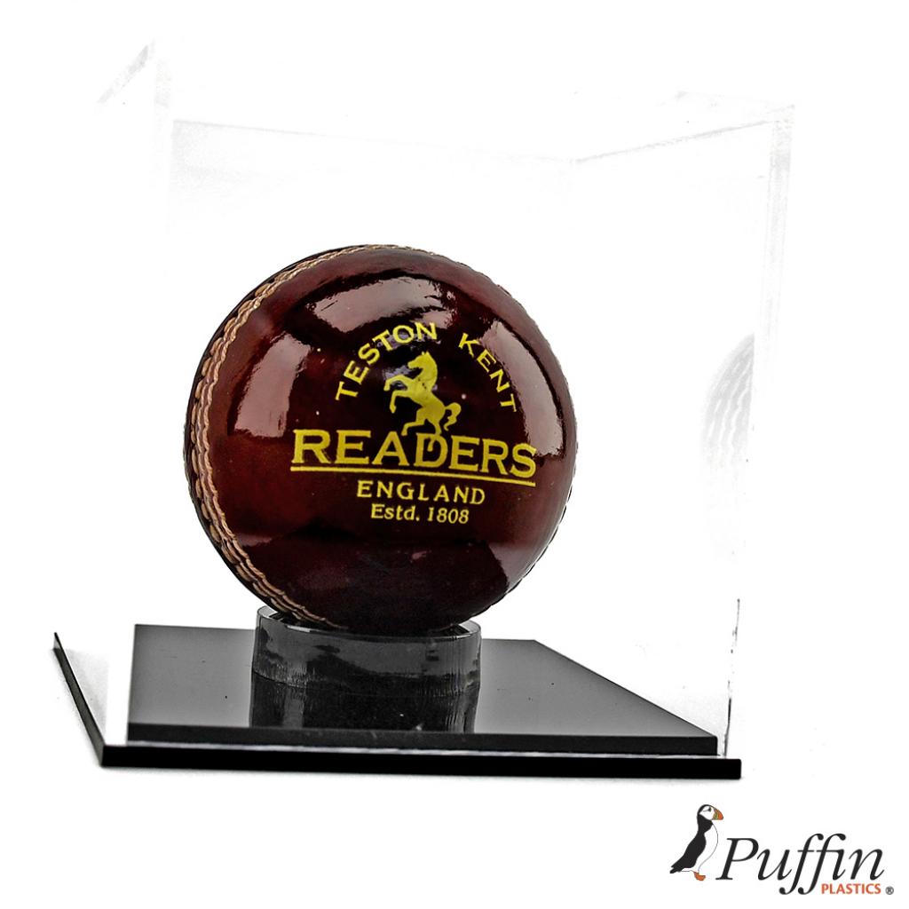 Cricket Ball Display Case Puffin Plastics