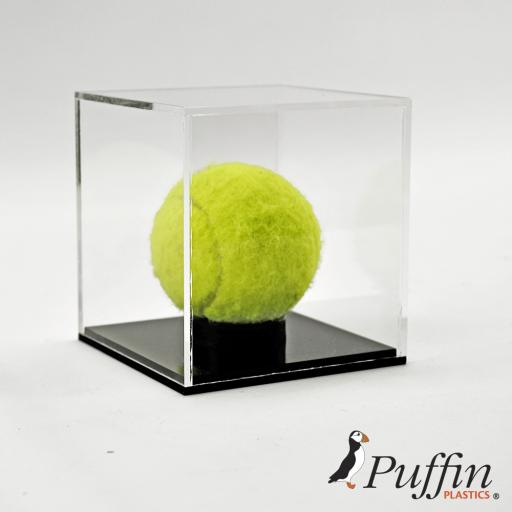 Cricket / Tennis Ball Display Case Colour Base