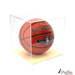 Basket-Ball-Display-Case---Ivory---Image-2.jpg
