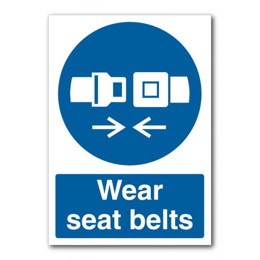 WM---A4-Wear-Seat-Belts-NO-WM.jpg
