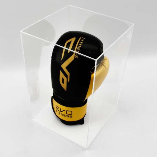 Boxing Glove Display Case - Single Portrait
