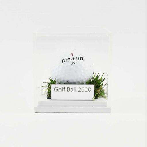 Golf Ball Display Case - Grass Effect Base