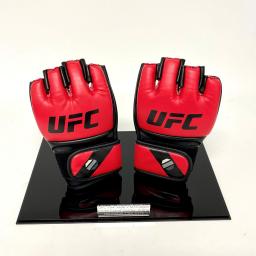 MMA-Glove-Display-Case-3.jpg