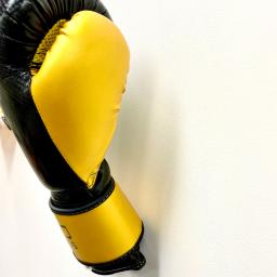 Boxing-Glove-Wall-Holder-2.jpg