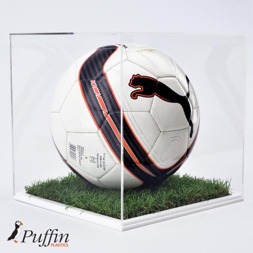 Football Display Case - 10MM White Grass Effect Base