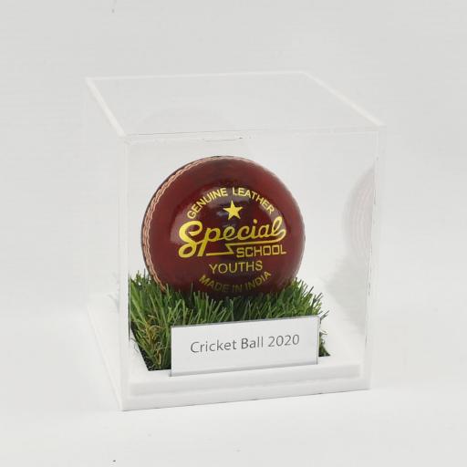 Cricket-Ball-Grass-Effect.jpg-2.jpg