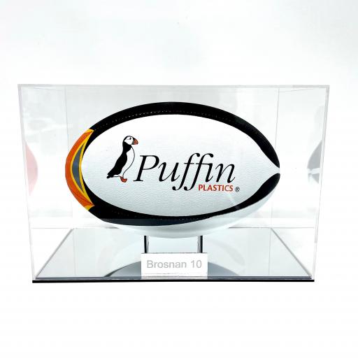 Rugby Ball Display Case (Landscape) - Mirror Base